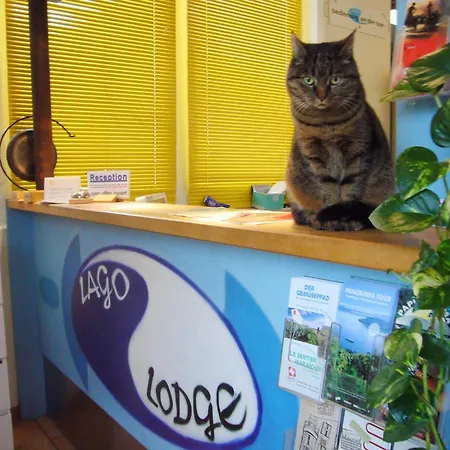 אכסניה Swiss ביאל